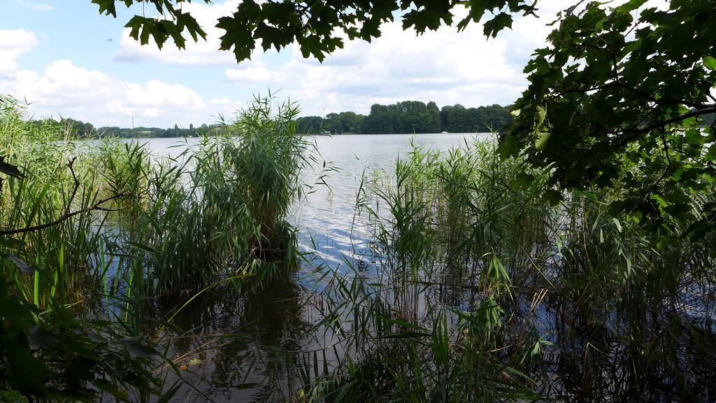 Ferienhaus Natura Neuruppin Habitación foto