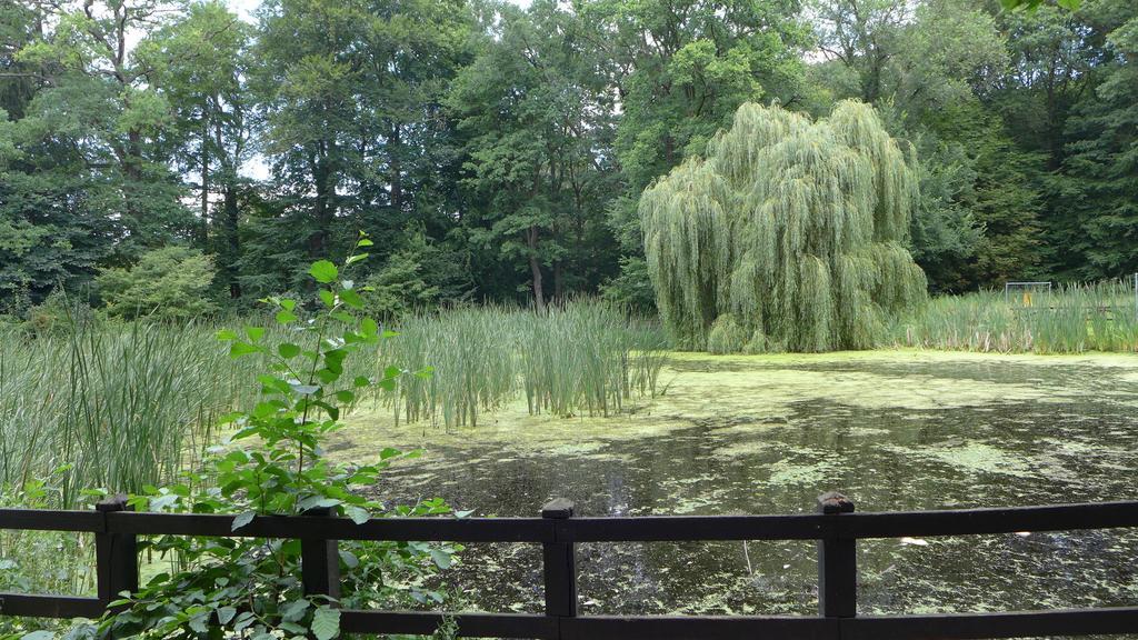 Ferienhaus Natura Neuruppin Habitación foto