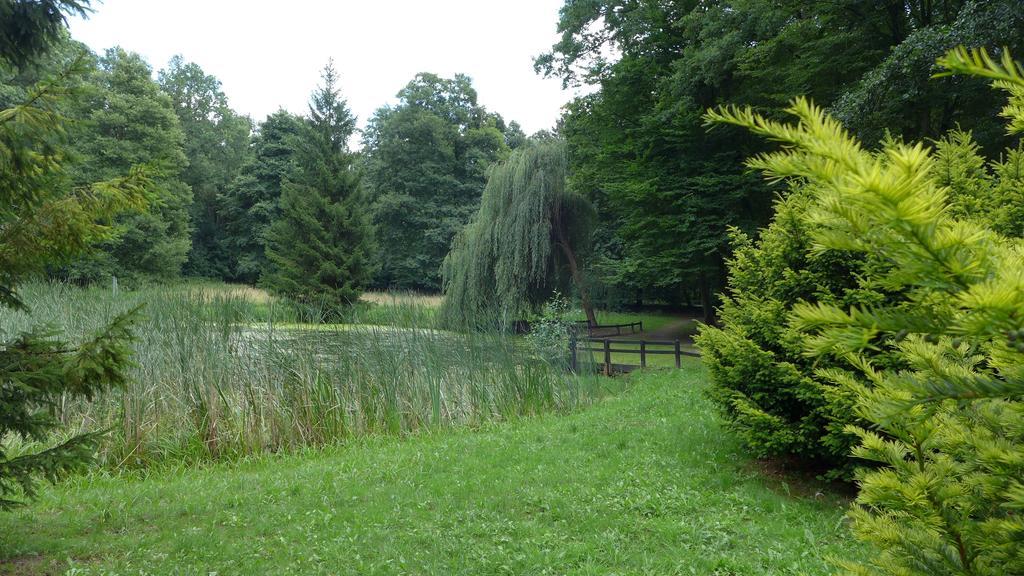 Ferienhaus Natura Neuruppin Habitación foto